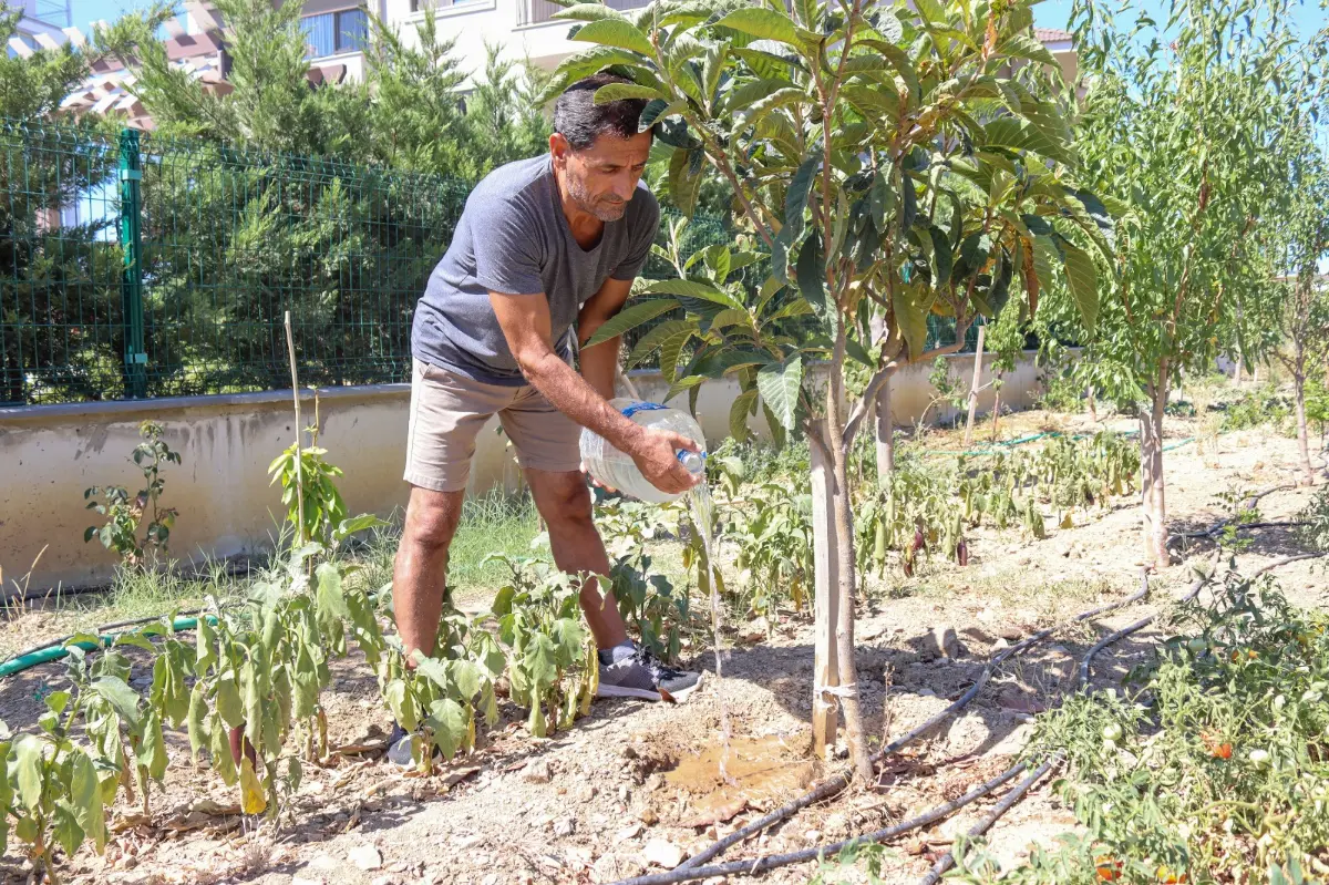 "Ağaçlarımız ölüyor, su istiyoruz”