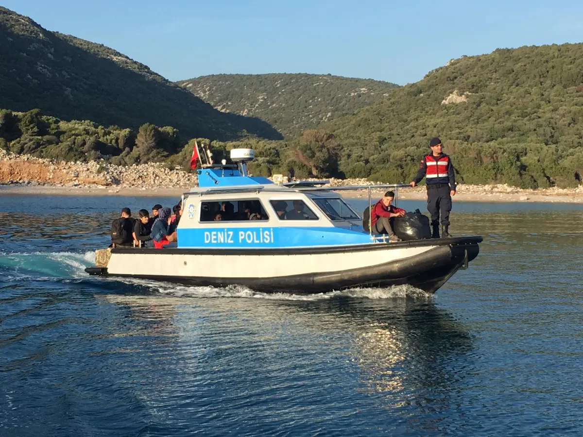 Aylan bebek bu kez kurtuldu