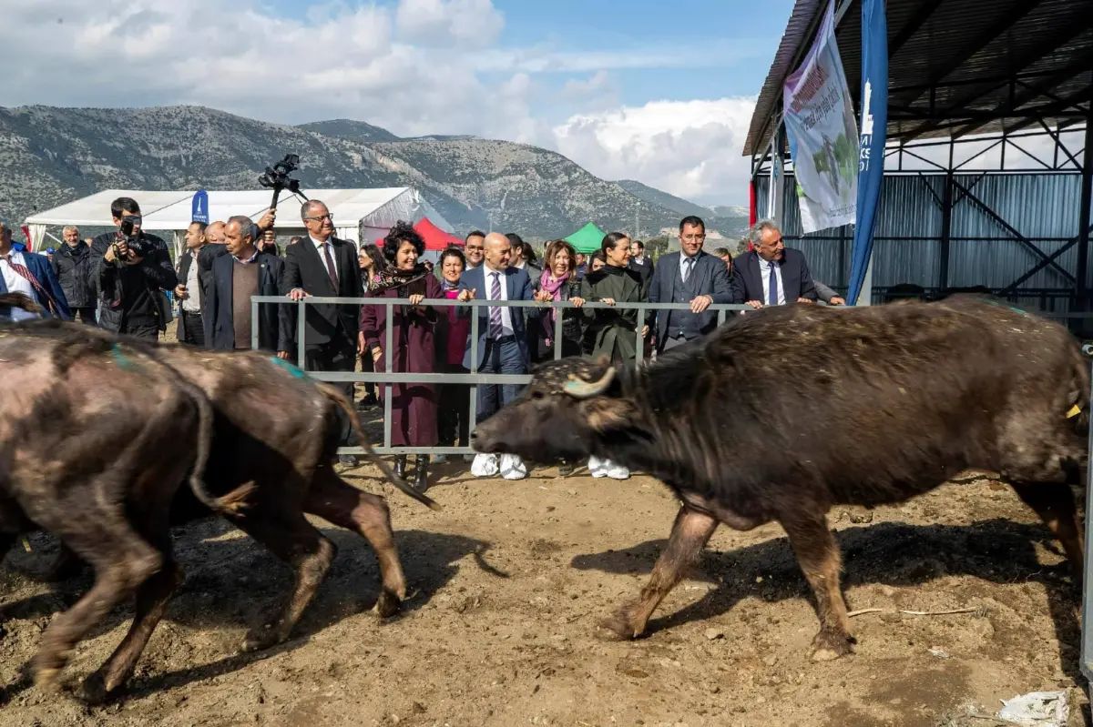 Efes Selçuk’un bereketli toprakları "Toprak Okulu”yla tarıma dönüyor