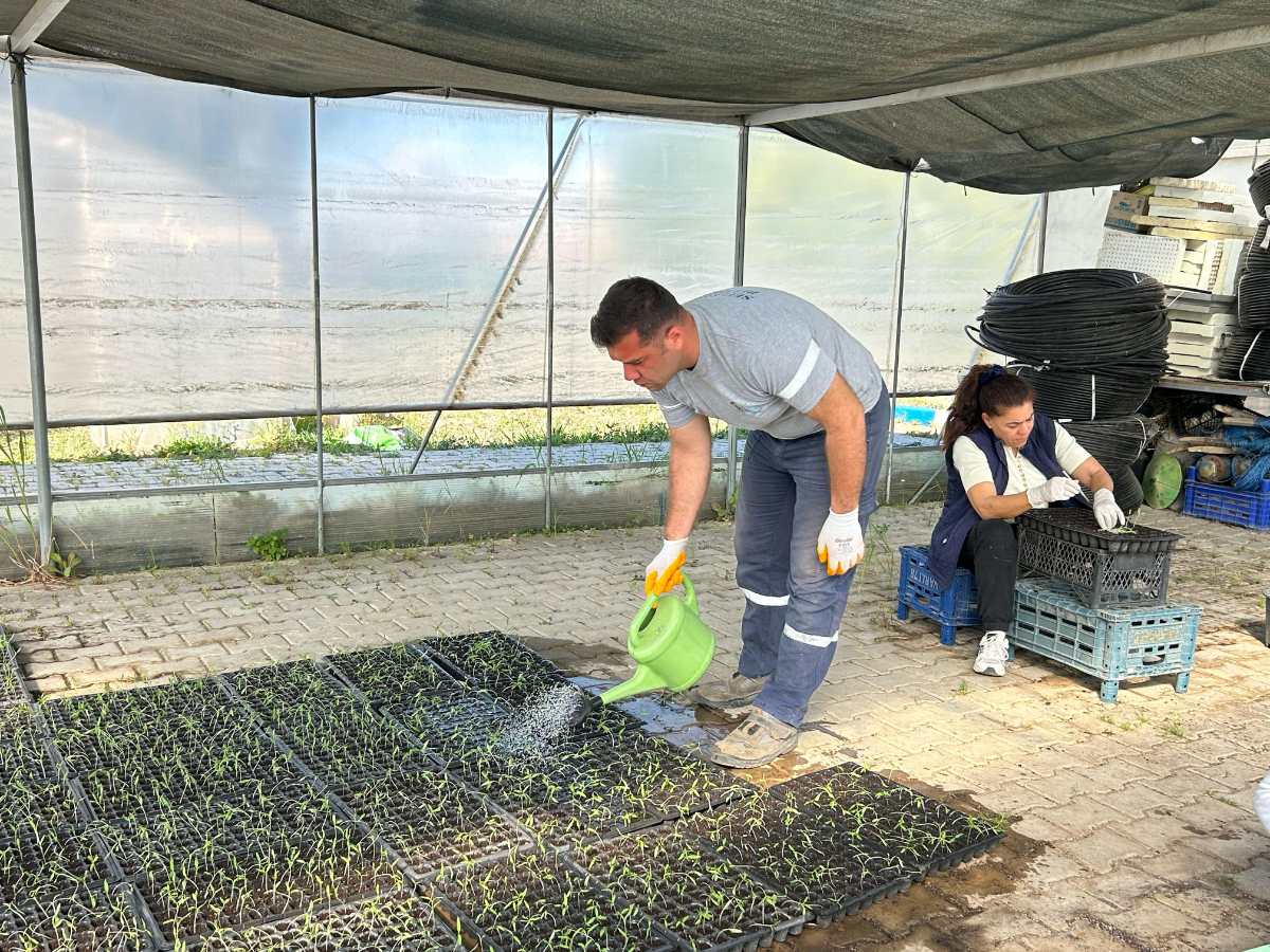 Seferihisar Belediyesi Tohum Takas Şenliği’ne hazırlanıyor