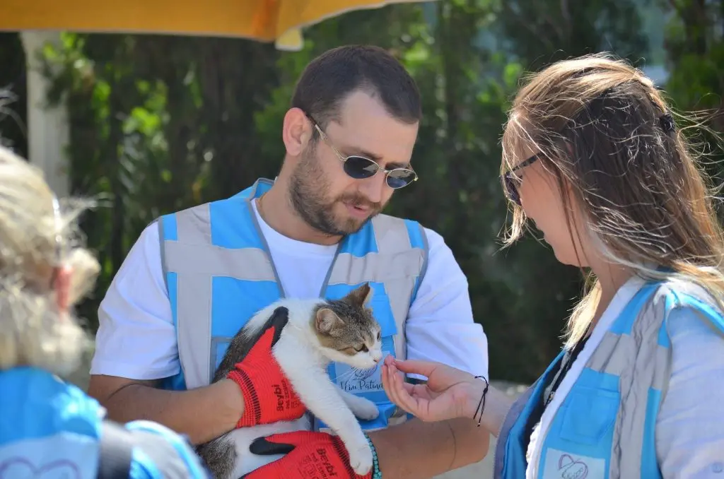 Seferihisar sokak hayvanlarına sahip çıkıyor