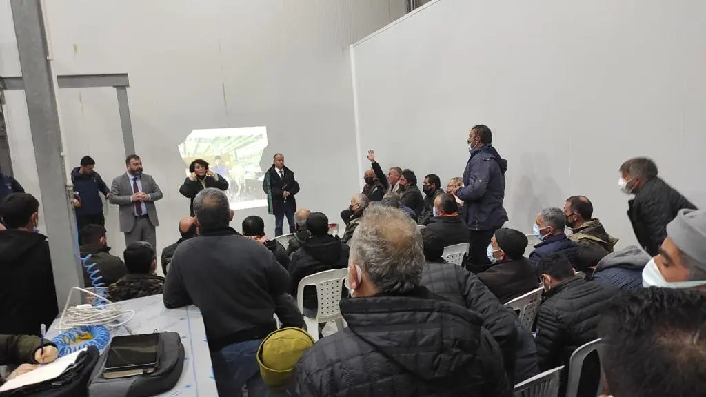 Seferihisar’da küçükbaş üreticisinin yüzü gülecek