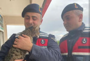 Kedisini evde unutup yurtdışına çıktı