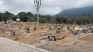 Seferihisar’a yeni mezarlık alanları geliyor: Üç mahallede çalışmalar başladı