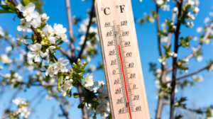 Seferihisar’da bu hafta güneş ve ılık hava etkili olacak