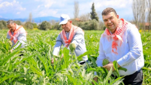 Seferihisar’da tarımsal üretim gelişiyor