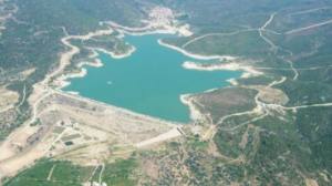 Seferihisar’da kuraklık alarmı: Mandalina üretimi tehdit altında